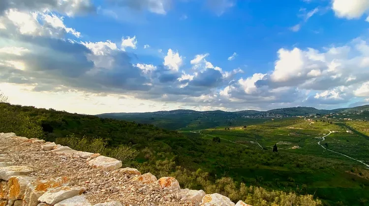 image_processing20241112-603166-70aaoy-750x420