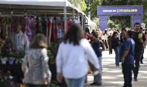 semana-trabalho_mcamgo_abr_05052025-11