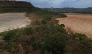 dji_0203_0