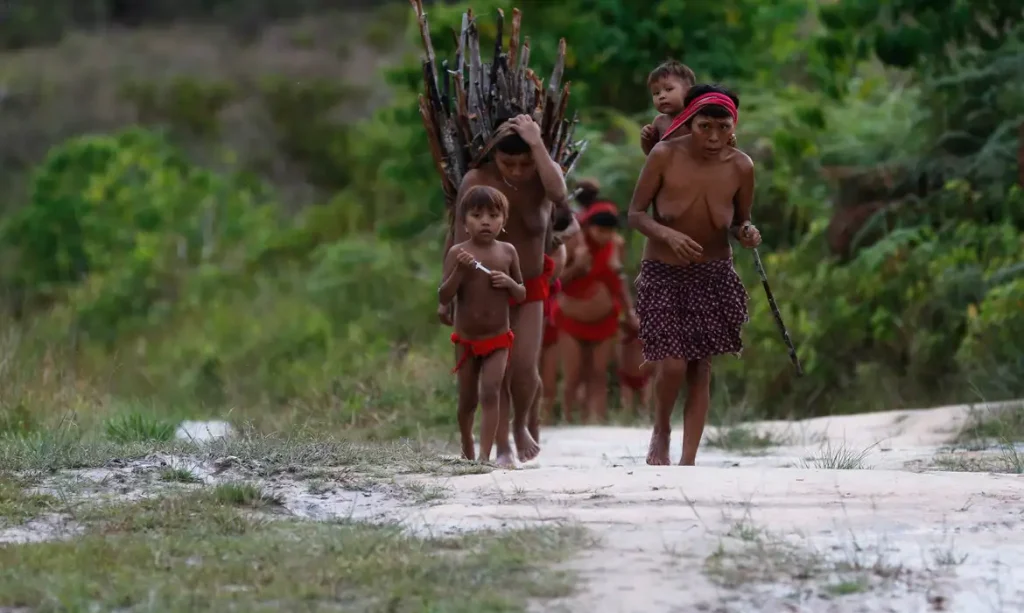 yanomami-frazao-9