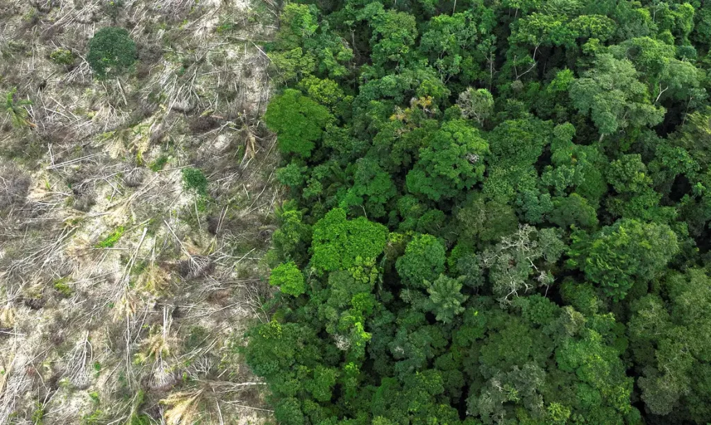 amazonia_desmatamento_1