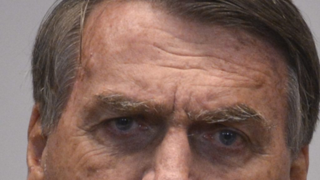 bolsonaro-reproducao-internet