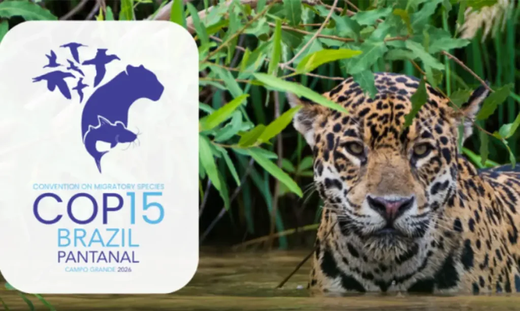 cop15