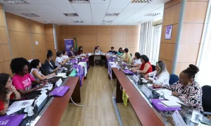 reuniao_ministerio_das_mulheres