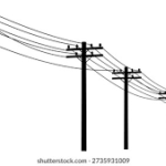 CONTRA A DEMOCRACIA, O ELEITOR-FASCISTA VOTA ATÉ EM UM POSTE