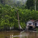 PROJETO LEVA TRATAMENTO GRATUITO A DOENÇAS NEGLIGENCIADAS NO AMAZONAS