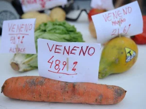 939345-agrotoxico_