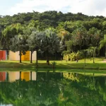 INHOTIM VAI CELEBRAR 20 ANOS COM TRÊS NOVAS ATRAÇÕES NO 2° SEMESTRE