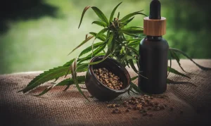 cbd-4474903