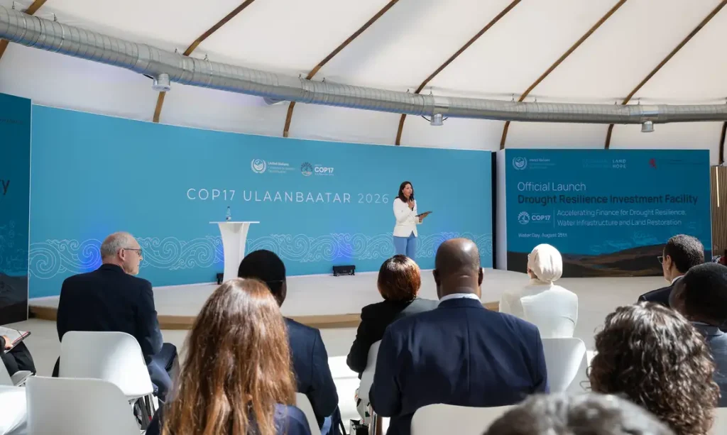 55487582845_8b903bc2a7_k1