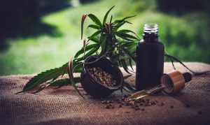 cbd-ol-4470099