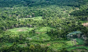 terra_indigena_ti_panara_na_amazonia01