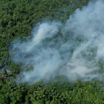 MANAUS, POR CAUSA DAS QUEIMADAS, REGISTROU POLUIÇÃO ATÉ DEZ VEZES MAIOR QUE A RECOMENDADA PELA OMS