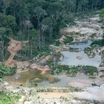 SENADORES DEFENSORES DE MINERAÇÃO EM TERRAS INDÍGENAS, ENTRE ELES EDUARDO BRAGA (MDB) E PLÍNIO VALÉRIO (PSDB), DO AMAZONAS