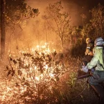 IBAMA EXTINGUIU 229 INCÊNDIOS NO AMAZONAS E SEGUE NO COMBATE AO FGO