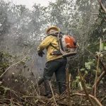 INCÊNDIOS NOAMAZONAS RESULTAM DE AÇÃO HUMANA INTENCIONAL, AFIRMOU MINISTROJOÃO PAULO CAPOBIANCO