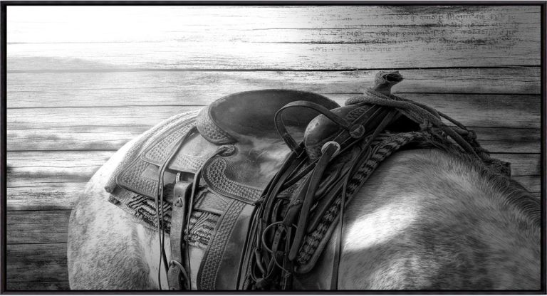 cavalo-encilhado-reproducao-768x416
