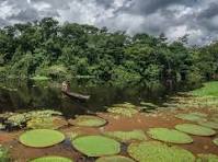 images (1)