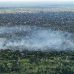 ESTUDO APONTA ATIVIDADE HUMANA NAS EMISSÕES DE CARBONO NA AMAZÔNIA